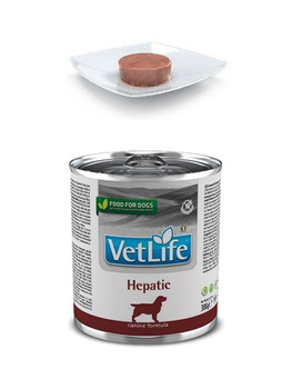 Farmina Vet Life Dog Hepatic 300g