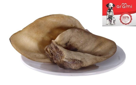 ARAMI B USZY DZIKA  (2szt.)