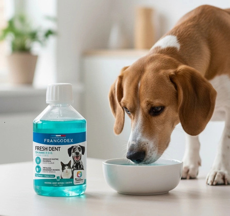 FRANCODEX PL Płyn dla psa i kota do higieny jamy ustnej Fresh dent 250 ml