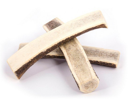 4DOGS GRYZAK POROŻE JELENIA L+ (EASY) /25