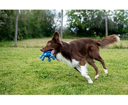 Kiwi Walker Let's Play Octopus Mini ośmiornica niebieska