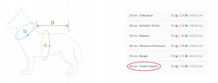 amiplay Denver Bluza dla psa 50 cm Szara