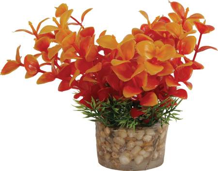 ZOLUX Ozdoba do akwarium roślina mała z zestawu nr 2