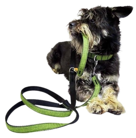 Dingo Smycz przedłużana Scandi 3x220cm szara