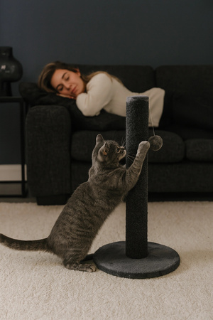 ZOLUX Słupek do drapania dla kota OLIVER 62 cm