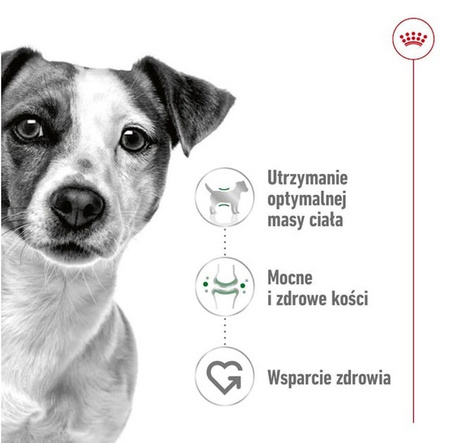 Royal Canin Mini Adult karma sucha dla psów dorosłych, ras małych 4kg