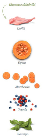 Amanova Dog Adult Mini Digestive Divine Rabbit - królik 800g