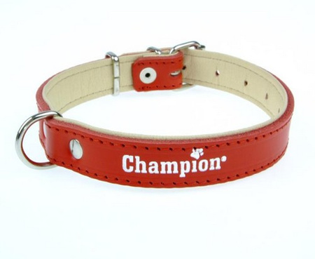 Champion Obroża Skórzana na skórce czerwona SK/S 40/1,8(R) [SOS]