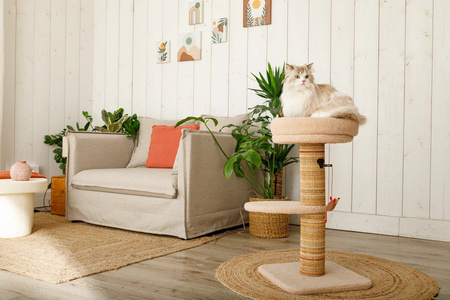 ZOLUX Drapak dla kota BOREAL 70 cm beżowy