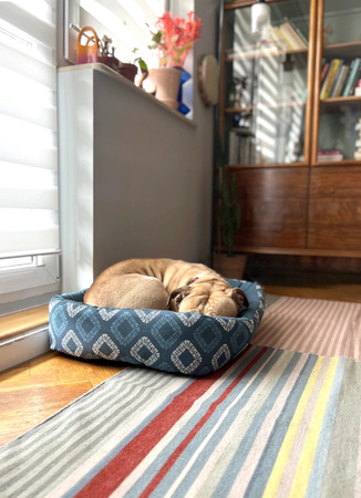 ZOLUX Legowisko dla psa prostokątne ONE SIRIUS 53cm