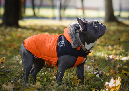 Zolux Ubranko puchowe MOUNTAIN T30 kol. pomarańczowy