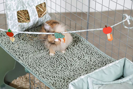 ZOLUX Wybieg dla królika Neopark NEOLIFE kol.zielony 140x105x70