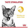 Royal Canin Sensory Taste w sosie karma mokra dla kotów dorosłych saszetka 85g