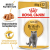 Royal Canin British Shorthair karma mokra w sosie dla kotów dorosłych rasy brytyjski krótkowłosy saszetka 85g
