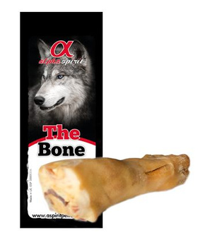 Alpha Spirit NR 5 HISZPAŃSKA RACICA