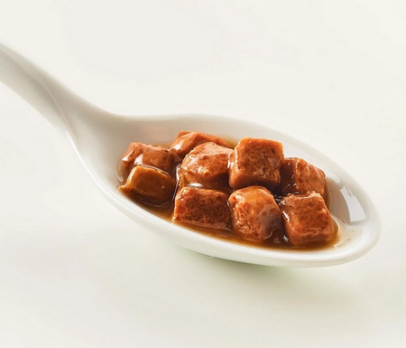 Kattovit Feline Diet Gastro kurczak i ryż saszetka 85g