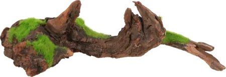 Zolux Ozdoba do akwarium korzeń malezyjski KIPOUSS M z nasionami