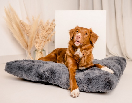 MIMIKO Pets Legowisko Shaggy prostokątne XL 85x65cm grafitowe