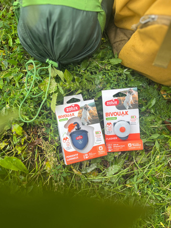 ZOLUX Świecąca zawieszka do obroży dla psa BIVOUAK niebieska na USB