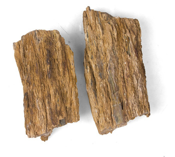 Skałka Pień Myanmar, M 20-30CM