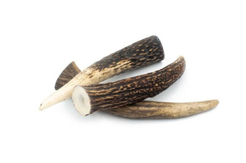 4DOGS SWINGERKI Z POROŻA JELENIA XL       (HARD)