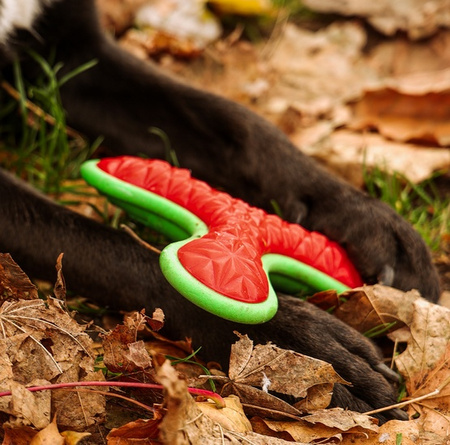 Dingo Zabawka dla psa - Guma TPR - Bumerang TRI 16,5cm