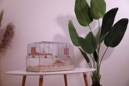 ZOLUX Klatka dla małych gryzoni Panas Colour 60 kol. różowy