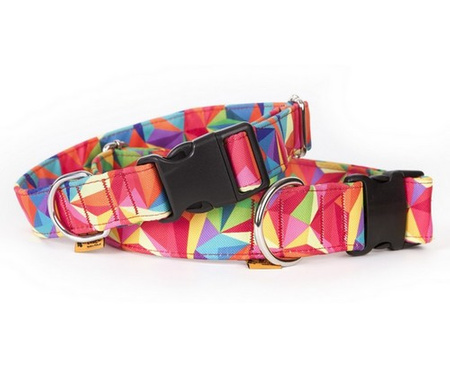 Dingo Obroża regulowana America Kolorado 4,0cm/75cm