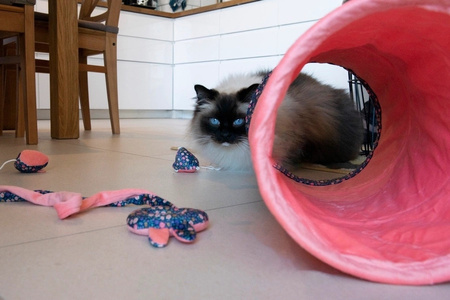 ZOLUX Zabawka dla kota królik zawieszany na drzwiach, kwiaty ETHICAT 59 cm