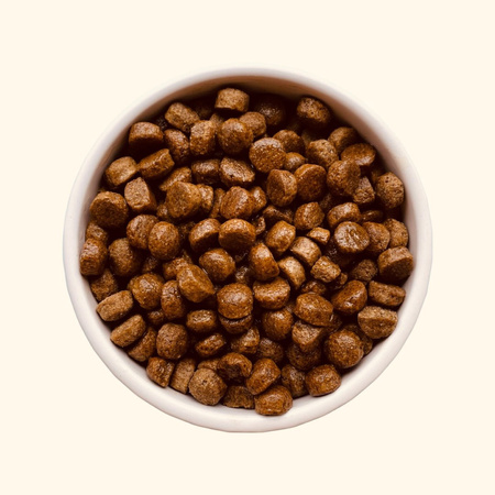 TEDS Insect - karma z owadów dla psów średnich i dużych ras (800g)