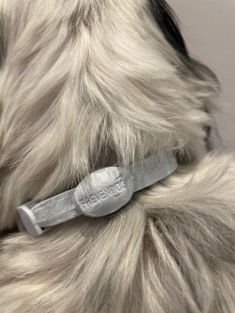 FRANCODEX PL Obroża na kleszcze PREVENDOG 35 cm dla psów do 5 kg - 1 szt