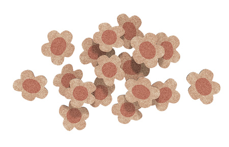 Zolux Przysmak dla kota z łososiem MOOKY FLOWIES 60 g