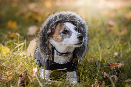 Zolux Ubranko puchowe MOUNTAIN T30 kol. khaki