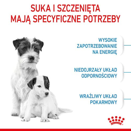 Royal Canin Mini Starter Mother&Babydog karma sucha dla szczeniąt do 2 miesiąca i suk karmiących ras małych 1kg