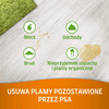 NATURES MIRACLE Płyn do usuwania starych plam pies SET-IN OXY 709ml