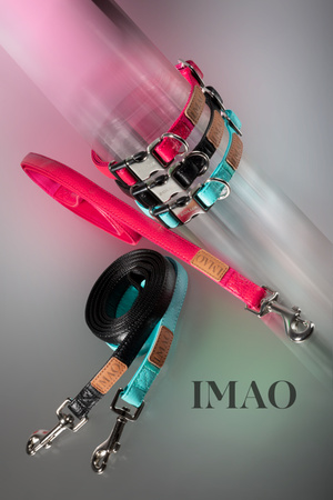 Zolux Smycz dla psa stylowa IMAO PICCADILLY 25 mm/1,2 m kol. turkus