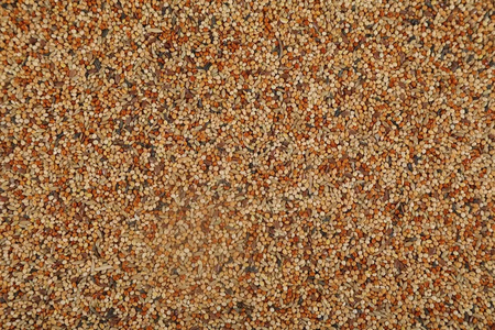 Zolux Pokarm mieszanka dla ptaków egzotycznych NUTRIMEAL 3 2,5 kg