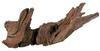 ZOLUX Ozdoba akwarystyczna korzeń Mangrowca 40-60 cm