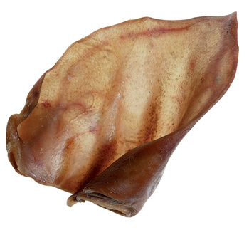 Zolux Przysmak dla psa suszone ucho wieprzowe 2 szt