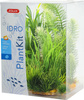 Zolux Ozdoba do akwarium PLANTKIT IDRO N°3