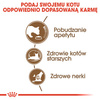 Royal Canin Ageing +12 karma sucha dla kotów dojrzałych 2kg