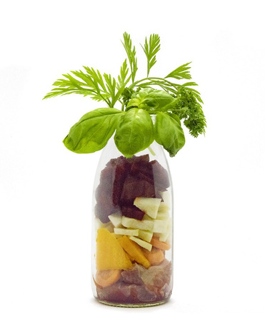 SmoothieDog Beef - smoothie dla psa wołowina z warzywami (250ml)