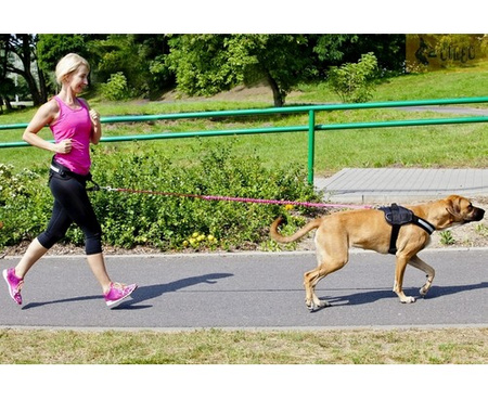 Dingo Pas do biegania Profi - 4 możliwości zapinania