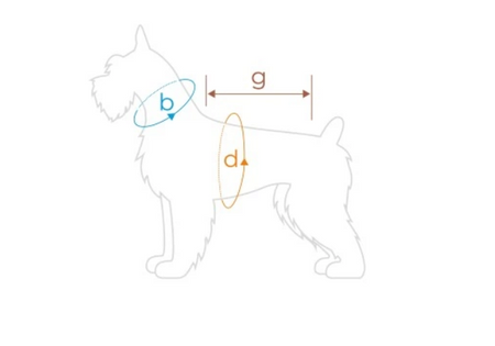 amiplay Boston 37 cm Kurtka puchowa z kapturem dla psa