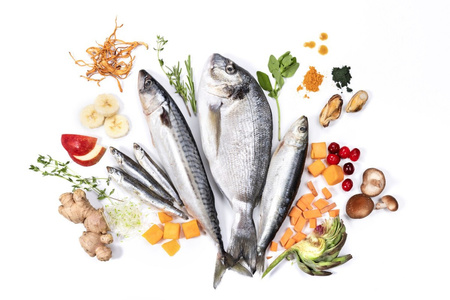 YDOLO Wild Fish - ryby morskie - karma półwilgotna dla psa (2,5kg)