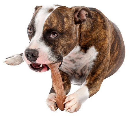 Ferplast GoodBite Natural SinglePack Wołowina 1szt M 70g