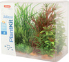 Zolux Ozdoba do akwarium rośliny PLANTKIT JALAYA model 4