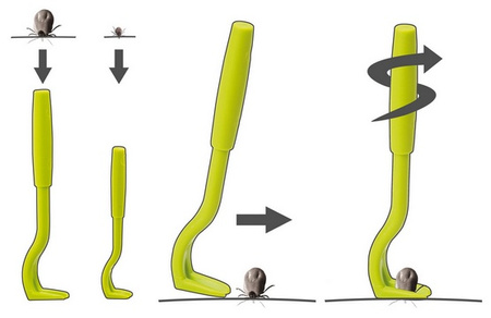 Kleszczołapki - przyrząd do usuwania kleszczy - haczyki 3szt
