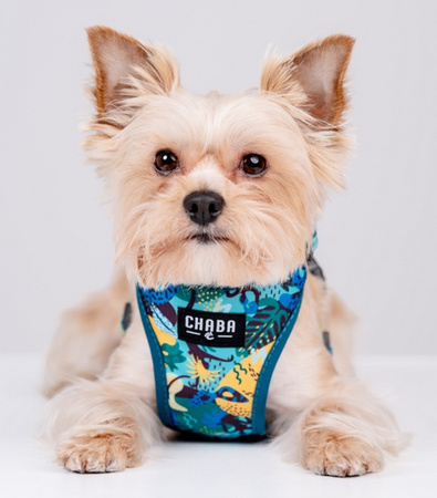 CHABA Szelki Guard Comfort Story III bezuciskowe M 1,6cm Carnival