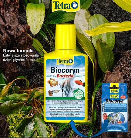 TETRA Biocoryn 100ml bakterie w płynie usuwa szkodliwe składniki w akwarium